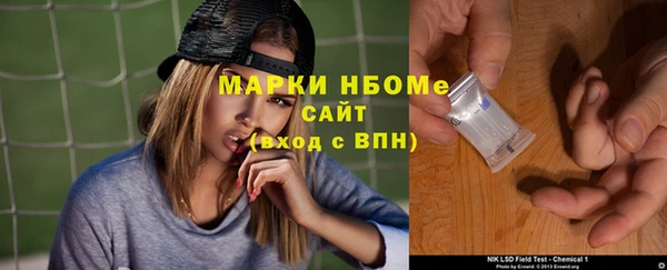 индика Абаза