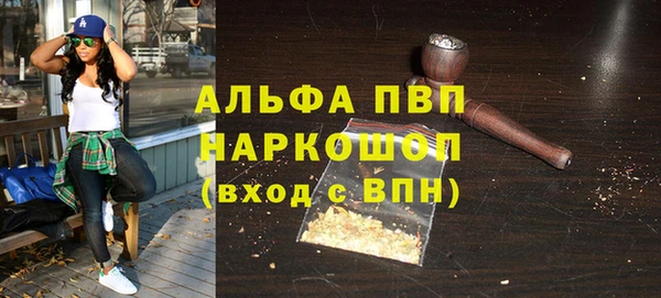 индика Абаза